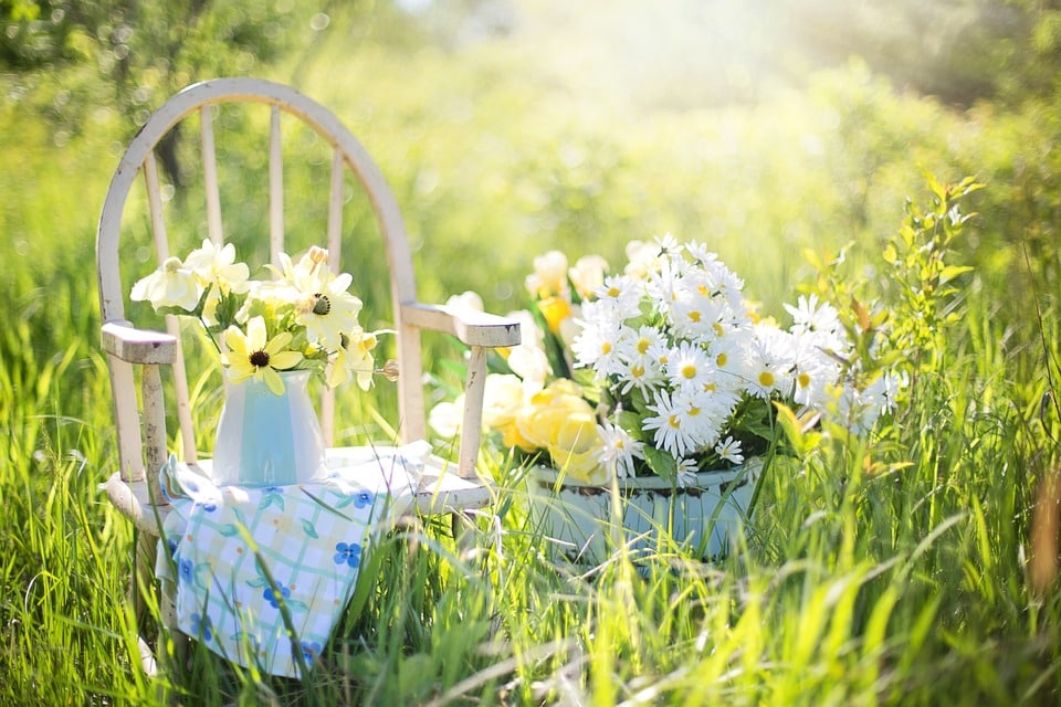 Comment procéder pour avoir un beau jardin en été ?