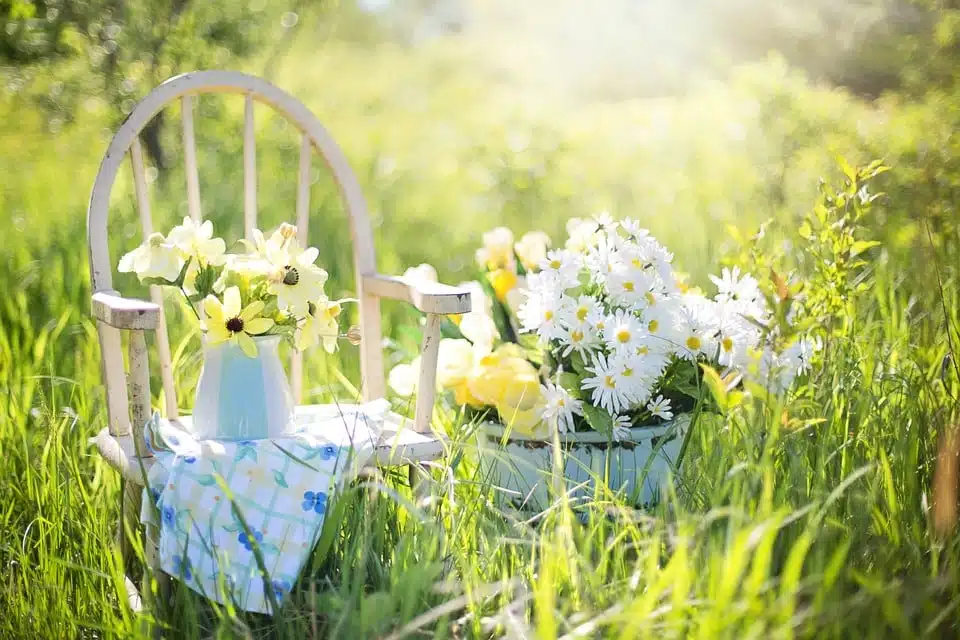 Comment procéder pour avoir un beau jardin en été ?